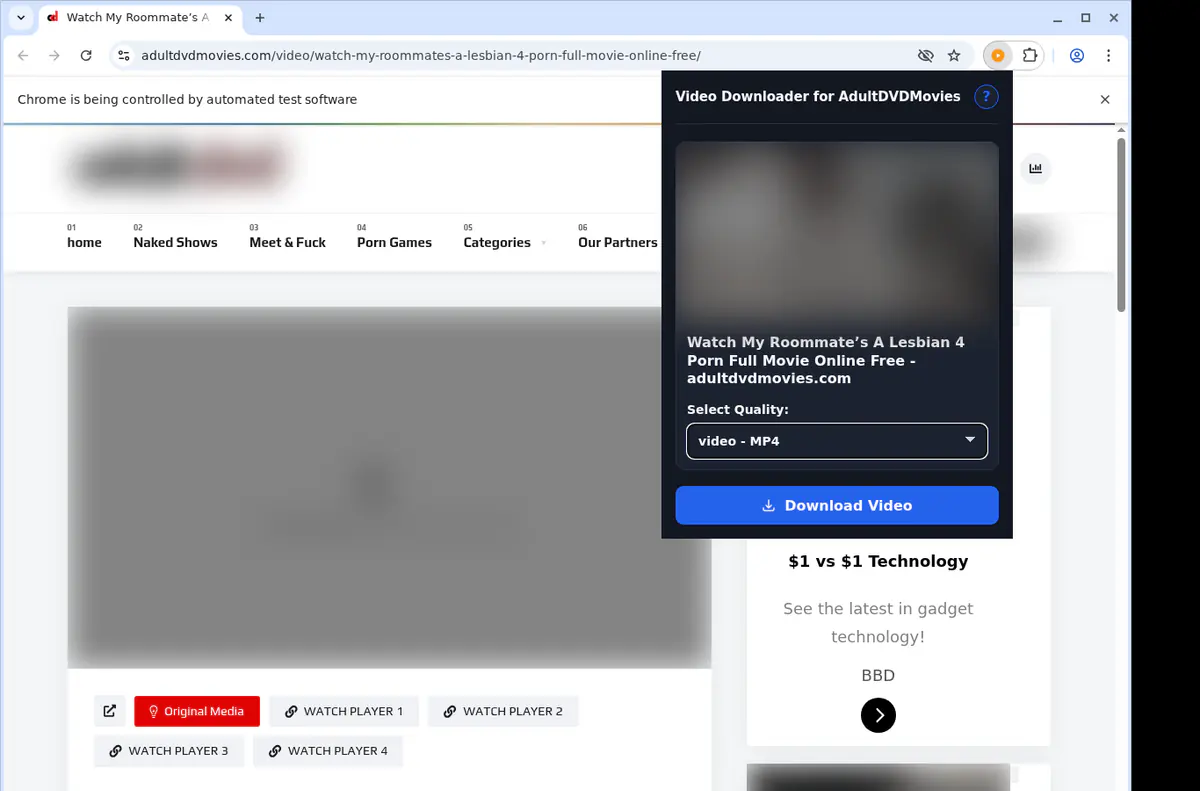 Adultdvdmovies Video Downloader browser extension screenshot 3